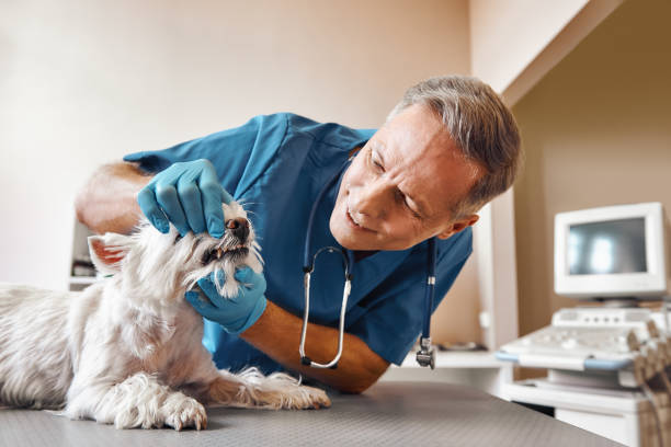Best Emergency Dental Surgery in Dixon, KY